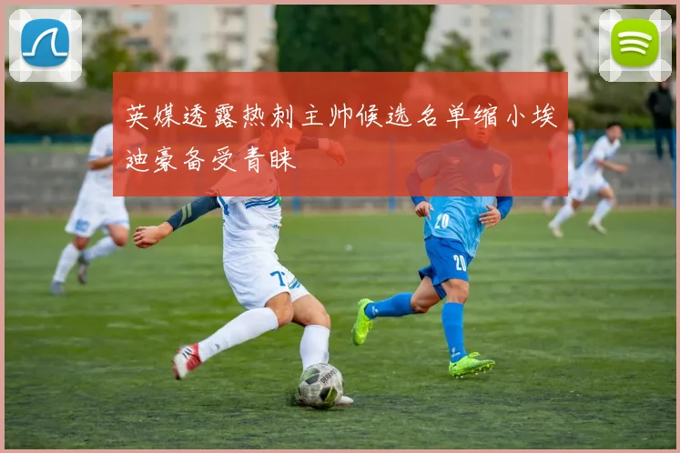 英媒透露热刺主帅候选名单缩小埃迪豪备受青睐