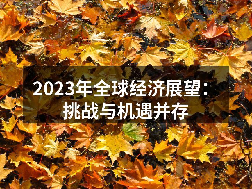 2023年全球经济展望图示